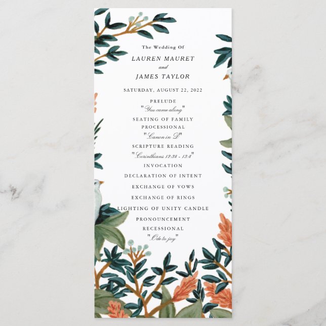 Peacock Program (Framsida)