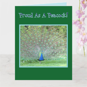 Peacock/"PROUD AS A PEACOCK"/GRATTIS PÅ FÖDELSEDAG Kort