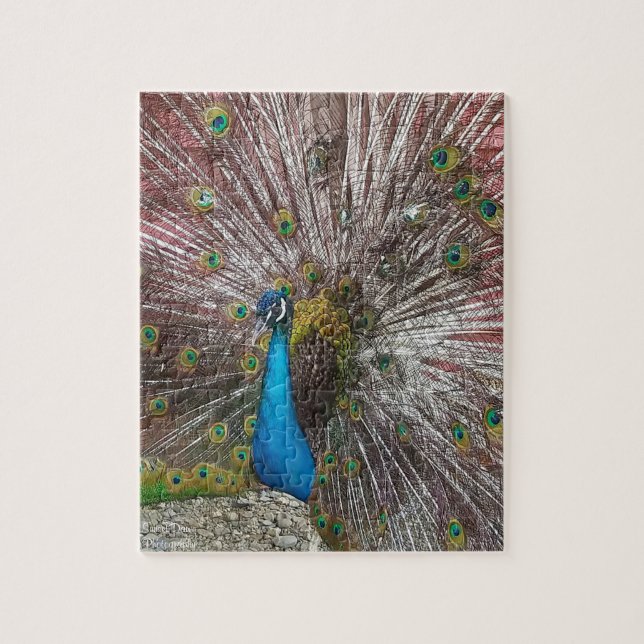 Peacock  pussel (Vertikal)