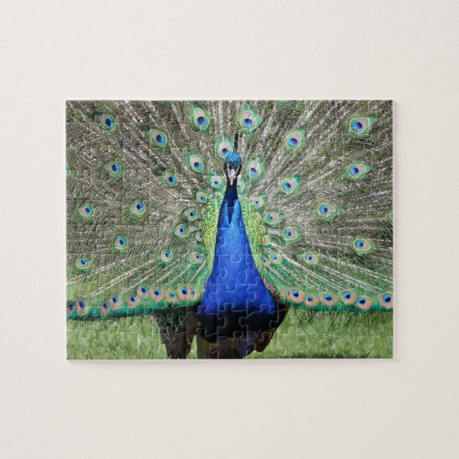 Peacock Puzzle Pussel (Horisontell)
