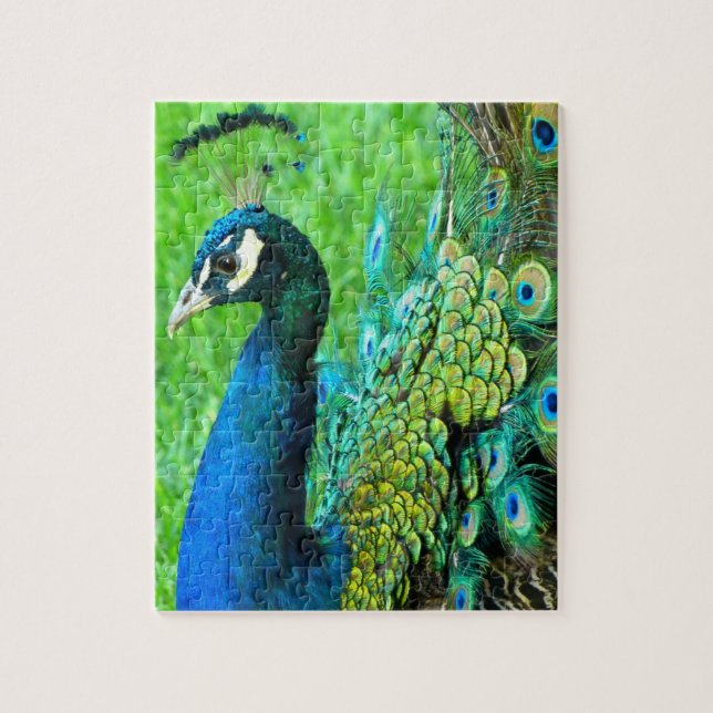 Peacock Radiance Puzzle Pussel (Vertikal)