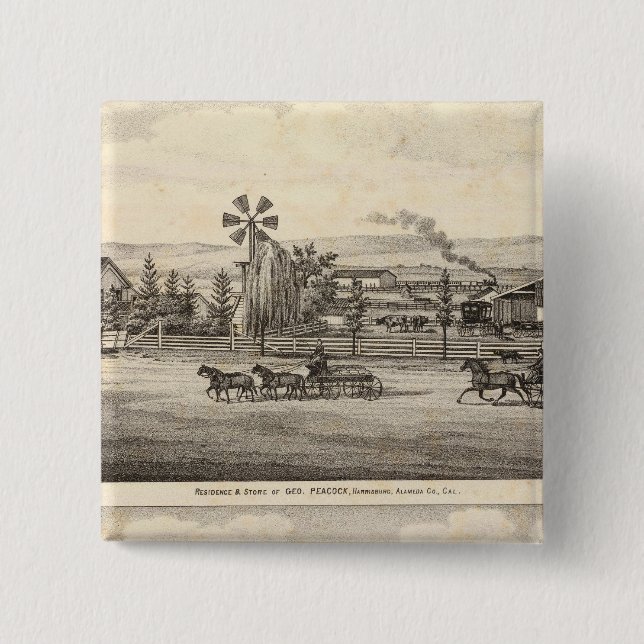 Peacock res, Willow Glen Knapp (Framsida)