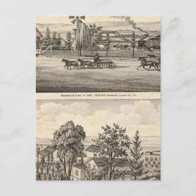 Peacock res, Willow Glen Vykort (Framsida)