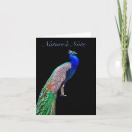 PEACOCK RESTERANDE FOTO PHEASANT NOTE-KORT ANTECKNINGSKORT