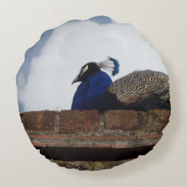 Peacock Round Pillow Rund Kudde