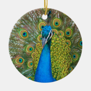 Peacock S9K.jpg Julgransprydnad Keramik