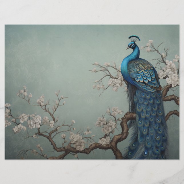 Peacock Scrapbook Journal Pappra (Framsida)