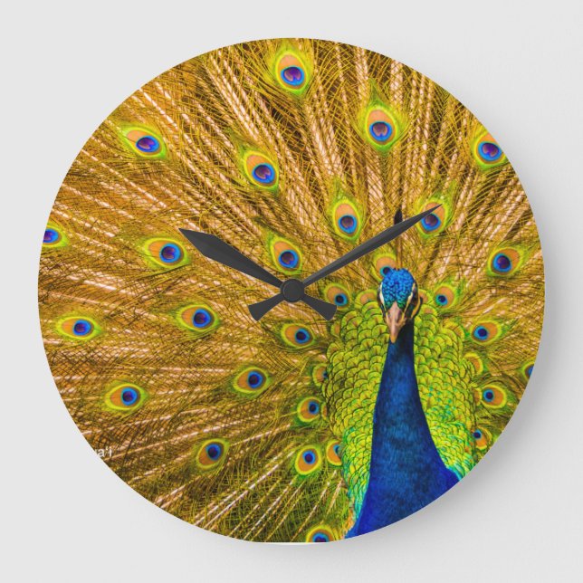 Peacock, Silver Falls, Kauai, Hawaii Stor Klocka (Framsida)