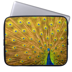 Peacock, Silver Falls, Kauai, Hawaiian Wetdress Laptop Fodral