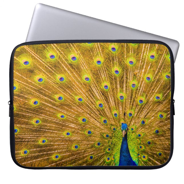 Peacock, Silver Falls, Kauai, Hawaiian Wetdress Laptop Fodral (Framsidan)