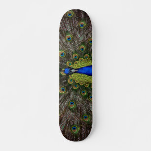 Peacock Skateboard Bräda 19,5 Cm
