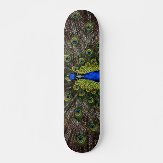 Peacock Skateboard Bräda 19,5 Cm (Framsida)