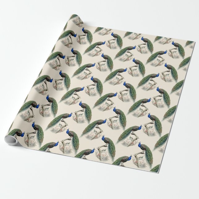 Peacock Skriv ut Presentpapper (Utrullad)