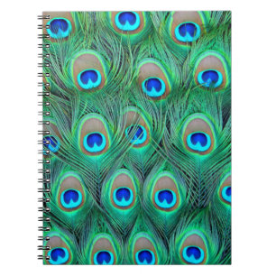 Peacock Splendor Anteckningsbok Med Spiral
