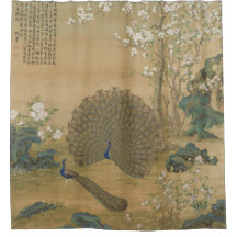 Peacock sprider sitt Svan Fine Art