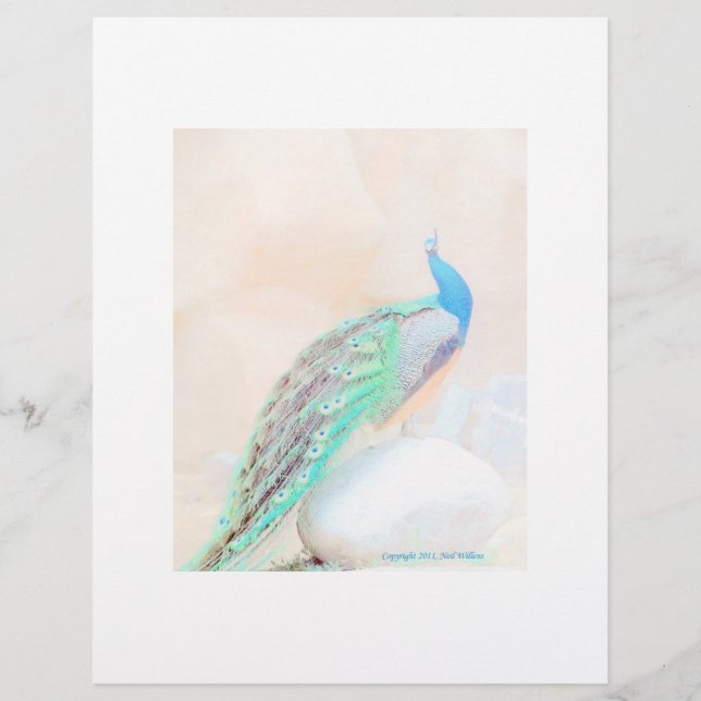 Peacock stationär (Framsida)