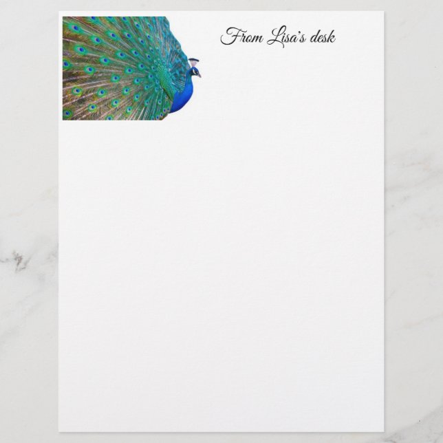 Peacock Stationary Brevhuvud (Framsida)