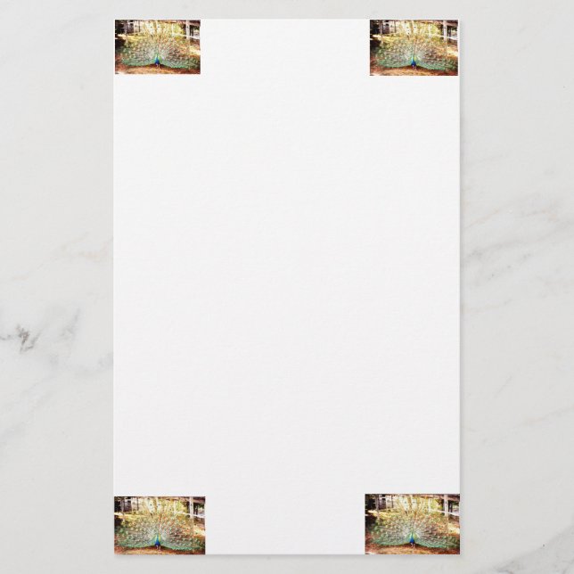 Peacock Stationery Brevpapper (Framsida)