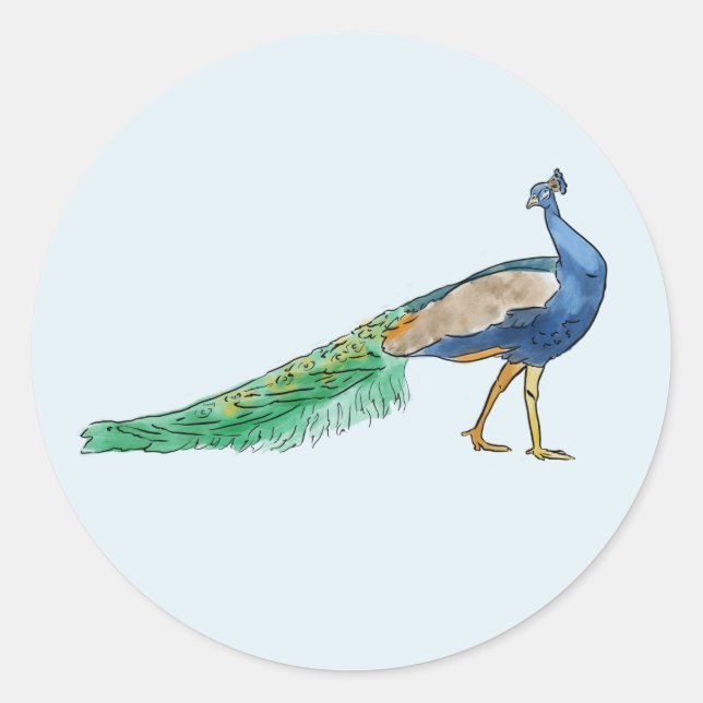 Peacock Stickers Runt Klistermärke (Framsida)