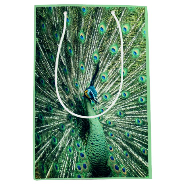 Peacock Strut (Framsidan)