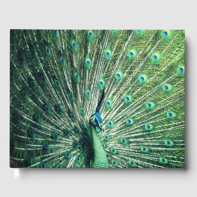 Peacock Strut Gästböcker (Framsida)