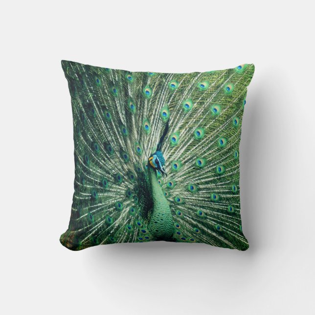 Peacock Strut Kudde (Framsida)