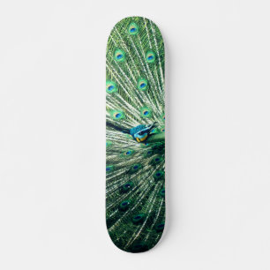 Peacock Strut Mini Skateboard Bräda 18,5 Cm