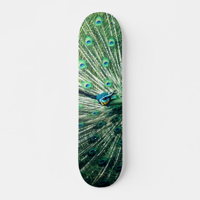 Peacock Strut Mini Skateboard Bräda 18,5 Cm (Framsida)