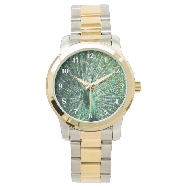 Peacock Strut White Numbers Armbandsur (Framsida)