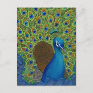 Peacock, stryk dina fjädrar vykort
