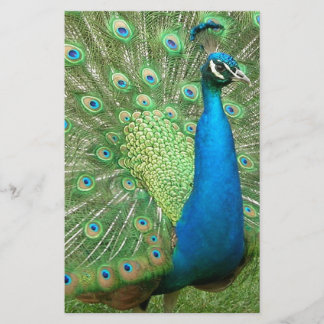 Peacock stryper sin Saker