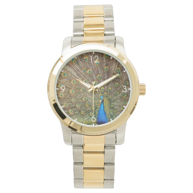 Peacock Svan Feathers Armbandsur (Framsida)
