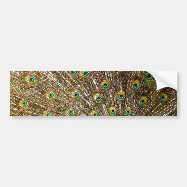 Peacock Svan Feathers Bildekal (Framsidan)
