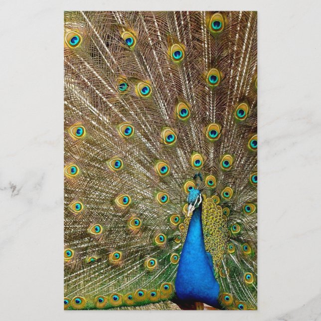 Peacock Svan Feathers Brevpapper (Framsida)