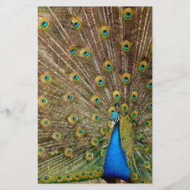 Peacock Svan Feathers Brevpapper
