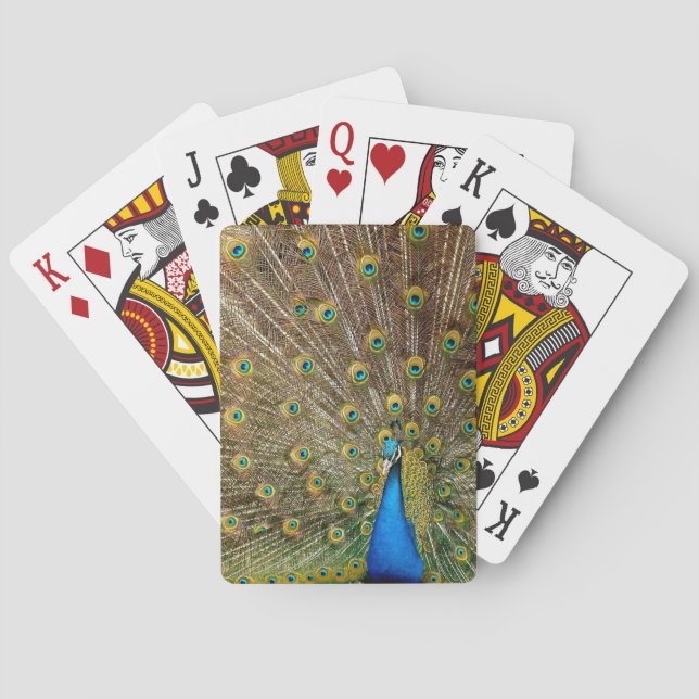 Peacock Svan Feathers Casinokort (Baksidan)