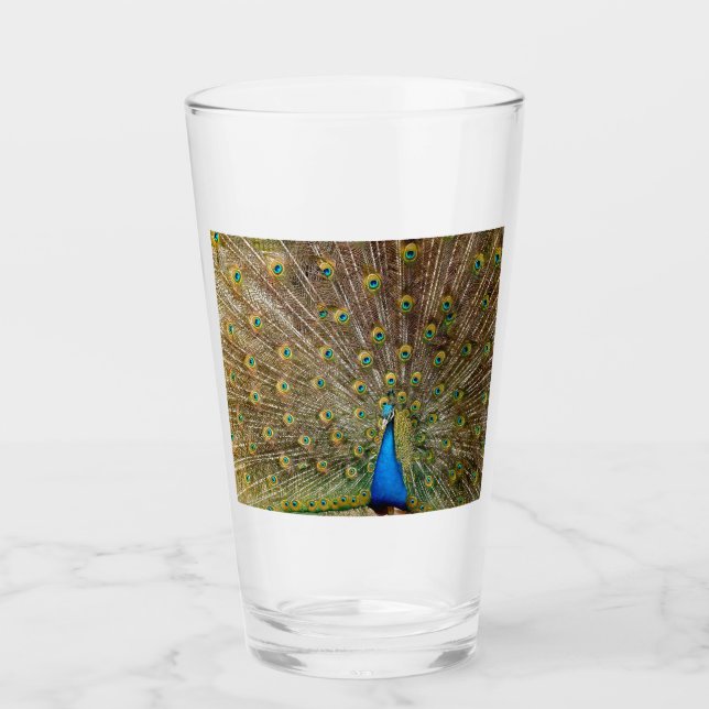 Peacock Svan Feathers Glaskopp (Framsida)