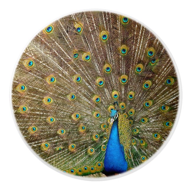 Peacock Svan Feathers Knopp (Framsidan)