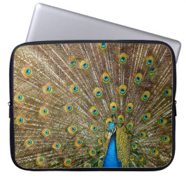 Peacock Svan Feathers Laptop Fodral