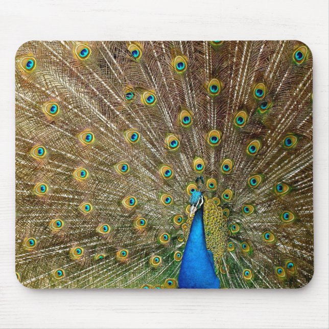 Peacock Svan Feathers Musmatta (Framsidan)