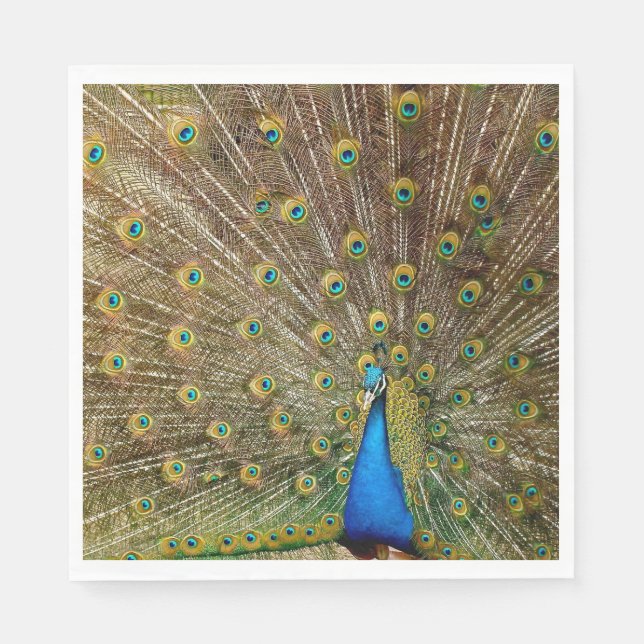 Peacock Svan Feathers Pappersservett (Framsidan)