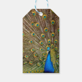 Peacock Svan Feathers Presentetikett