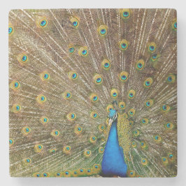 Peacock Svan Feathers Stenunderlägg