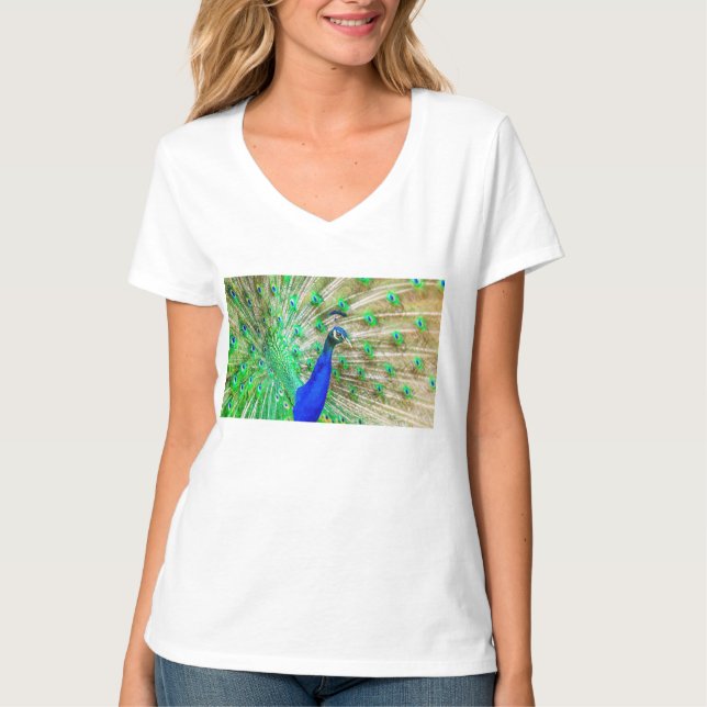 Peacock T Shirt (Framsida)