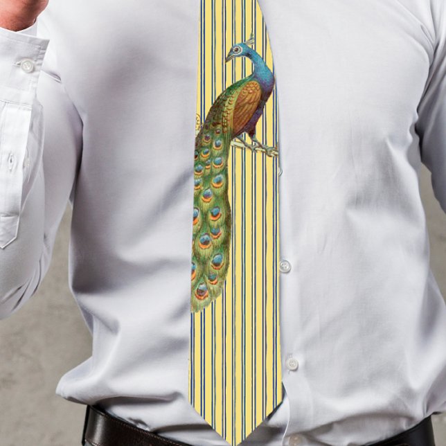 Peacock Tie for Bröllop och speciella tillfällen Slips (Skapare uppladdad)