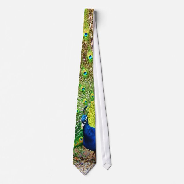 Peacock Tie Slips (Framsida)