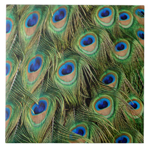 Peacock Tile Kakelplatta