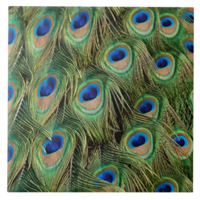 Peacock Tile Kakelplatta (Framsidan)