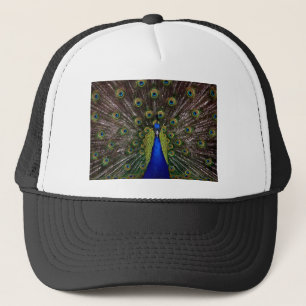Peacock Truckerkeps