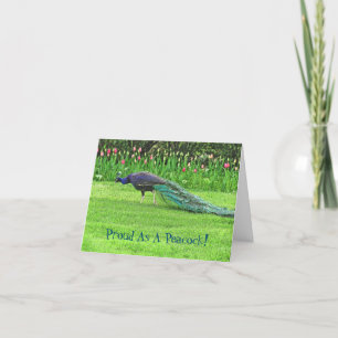 PEACOCK & TULIPS /PROUD SOM PEACOCK/CONGRATULATIO KORT